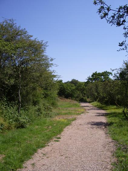 sentier menant au site archéologique